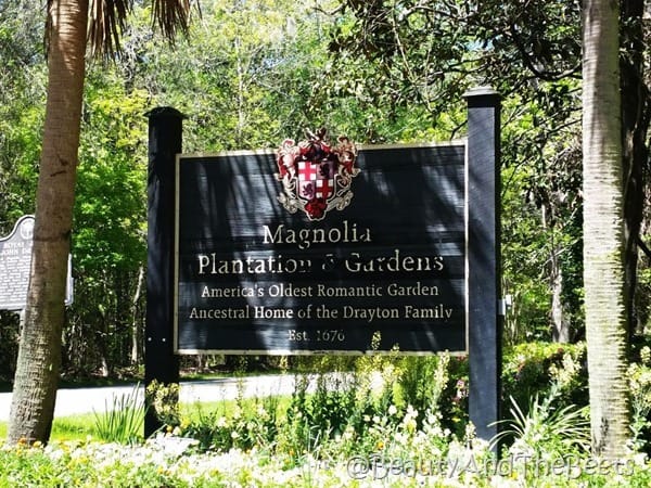 Magnolia Plantation and Gardens Drayton Beauty and the Beets