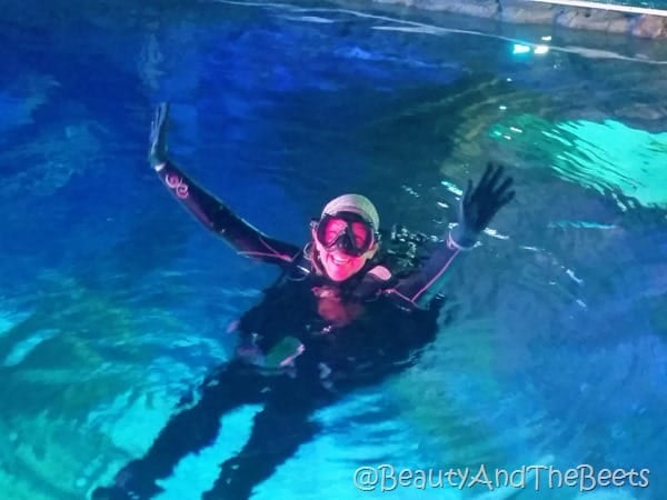 Sea Life Orlando divers Beauty and the Beets
