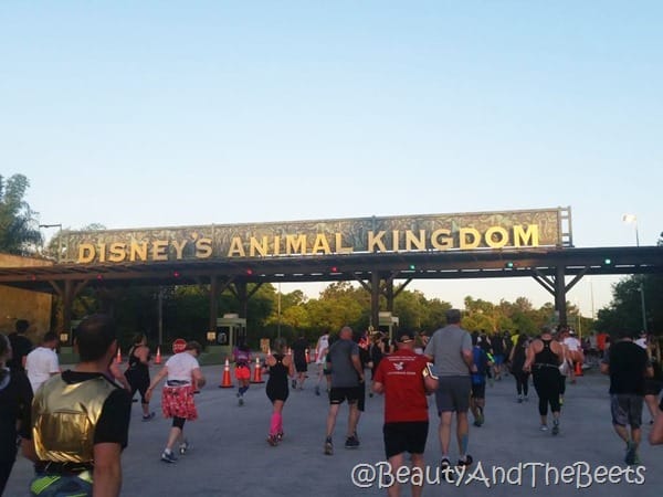 Star Wars Half Marathon Animal Kingdom Beauty and the Beets