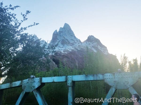 Star Wars Half Marathon Mt Everest Beauty and the Beets