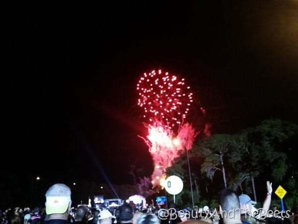 Star Wars Half Marathon fireworks Beauty and the Beets