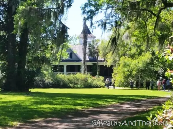 grounds at Magnolia Plantation Beauty and the Beets