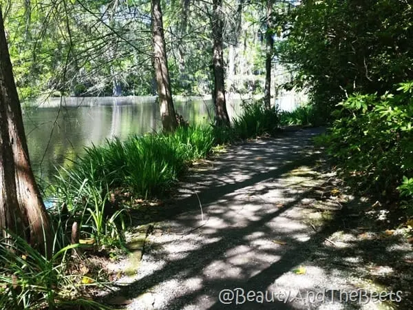 path Magnolia Plantation Beauty and the Beets