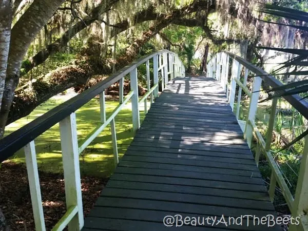 side bridges Magnolia Plantation Beauty and the Beets