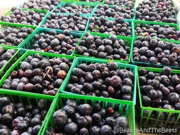 Pints of Blueberries Beauty and the Beets