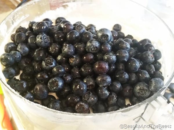 Blueberries Frozen Yogurt Beauty and the Beets