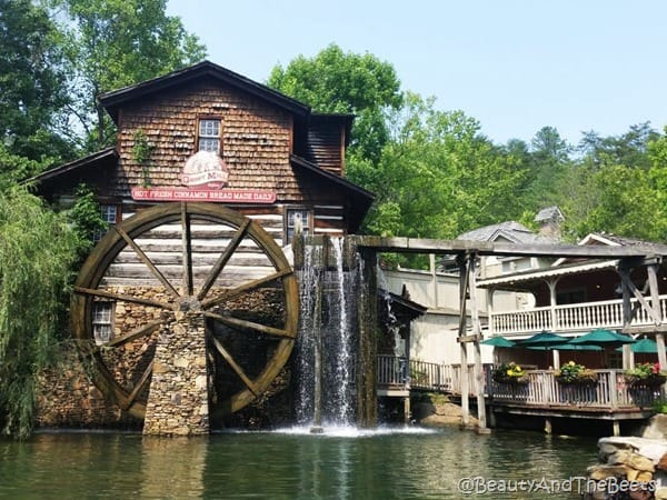 Dollywood Theme Park Beauty and the Beets