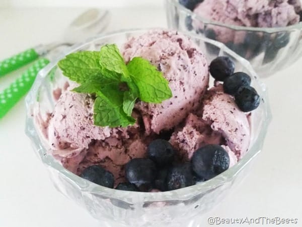 Lemon Blueberry Cheesecake Frozen Yogurt Mint Beauty and the Beets