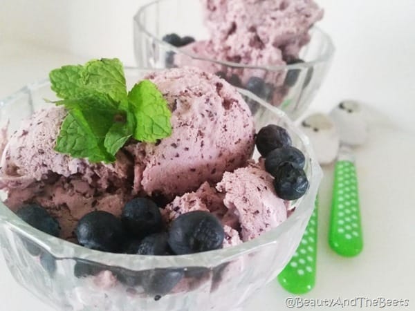 Lemon Blueberry Cheesecake Frozen Yogurt from Beauty and the Beets