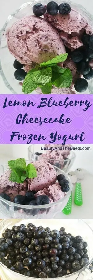 Lemon Blueberry Cheesecake Frozen Yogurt recipe Beauty and the Beets