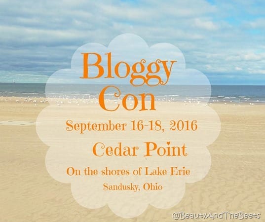 Bloggy con 2016