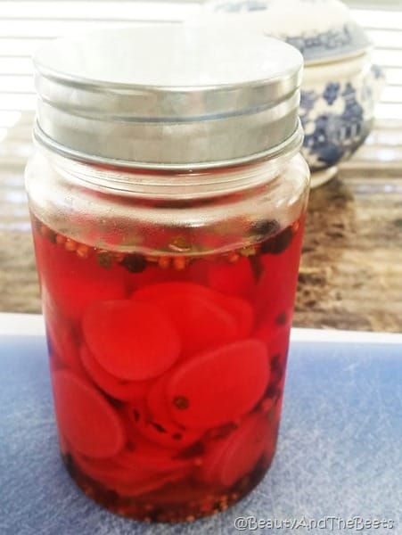 Pickled Radish Beauty and the Beets (4)