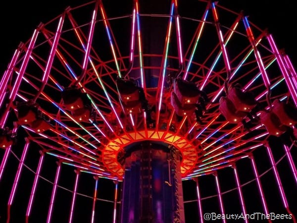 Swings at Cedar Point