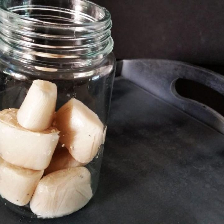 Vanilla Milk Ice Cubes