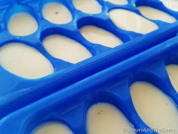 Vanilla Bean Almond Milk ice cubes Beauty and the Beets tray