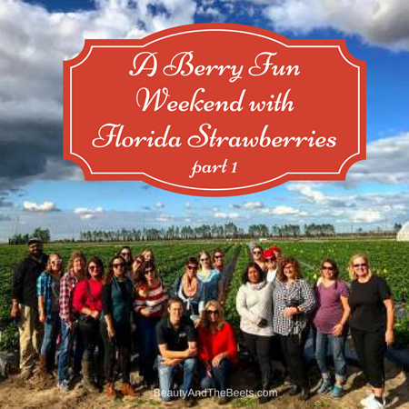 Berry Fun Weekend Florida Strawberries Beauty and the Beets (1)