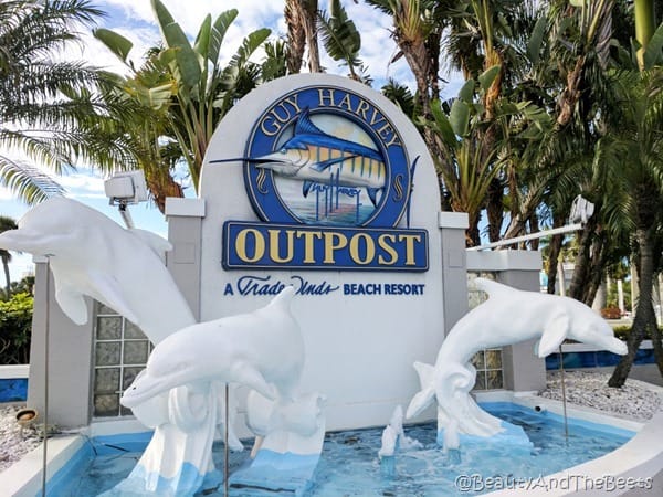 Guy Harvey Outpost St