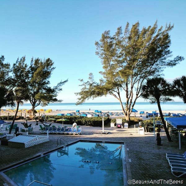 Guy Harvey Outpost beach and pool Beauty and the Beets