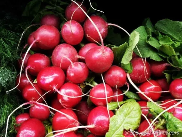 Radish Beauty and the Beets