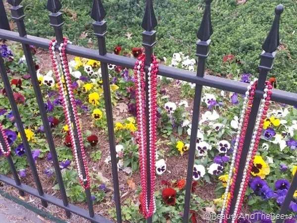 Beads everywhere New Orleans Beauty and the Beets