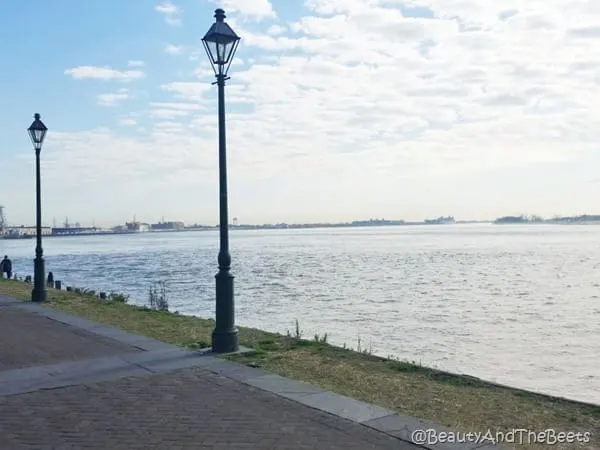 Mississippi River New Orleans Beauty and the Beets