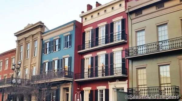 New Orleans Wrought Iron Beauty and the Beets