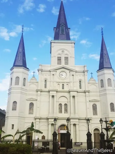St Louis Cathedral New Orleans Beauty and the Beets