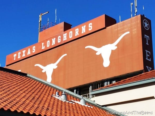 Texas Longhorns Austin Beauty and the Beets