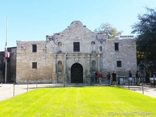 The Alamo Beauty and the Beets