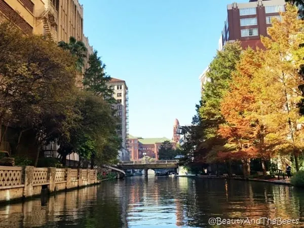 looking down San Antonio Riverwalk Beauty and the Beets