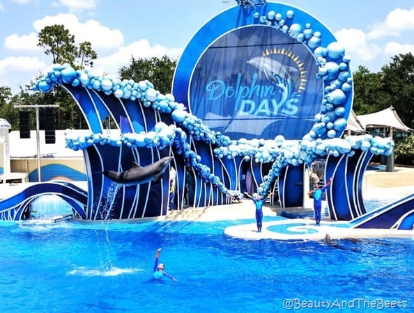 Dolphin Days Sea World Orlando Beauty and the Beets (2)