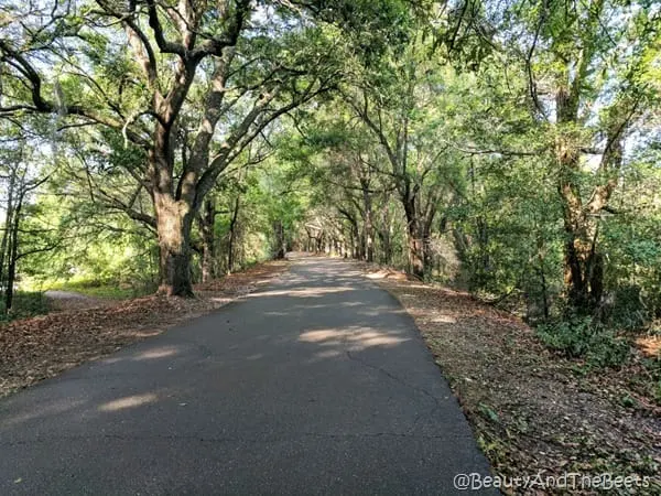 West Orange Trail Orlando Beauty and the Beets 1