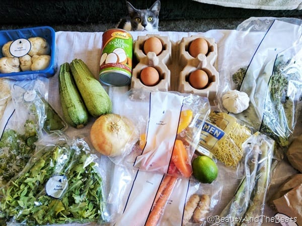 ingredients such as eggs, arugula, carrots and mushrooms laid out on a table with a gray and white kitten looking up from under the table