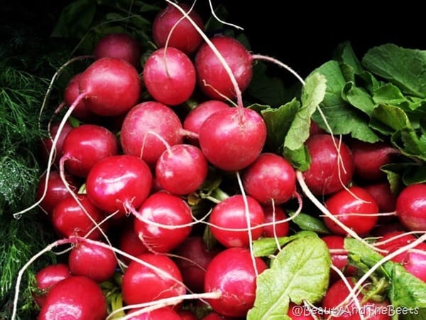 a bunch of bright pink radishes still on the vine