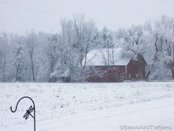 a red barn covered in snow in the middle of a snowy field and snowy trees