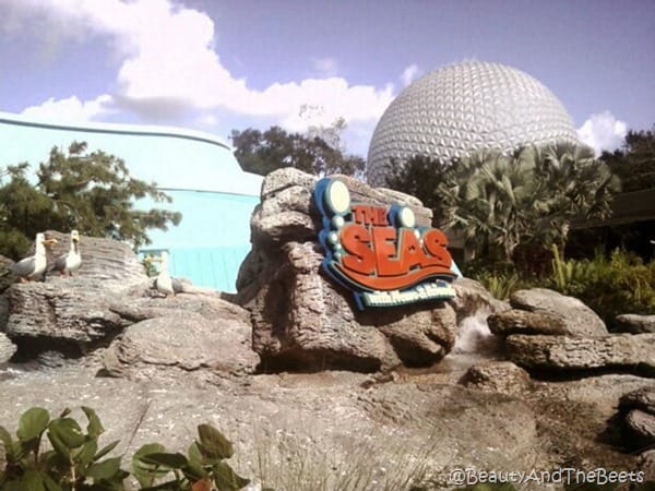 the sign The Seas on a rock in front of the Epcot Spaceship Earth ball