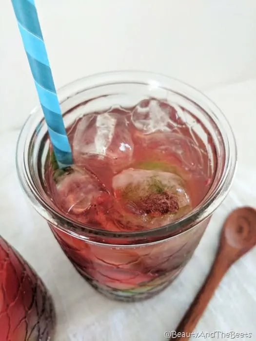Blackberry Mojito Iced Tea Beauty and the Beets (10)