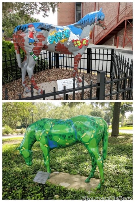 Ocala Marion County horses Beauty and the Beets