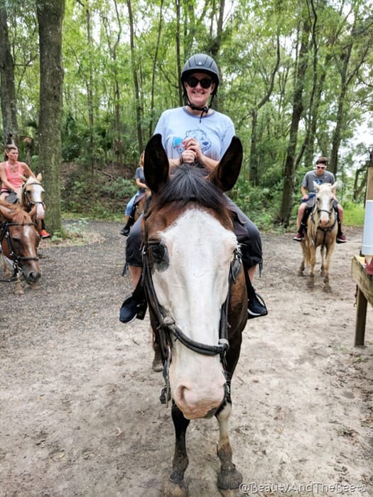 The Canyons Horseback Riding Ocala Beauty and the Beets (13)