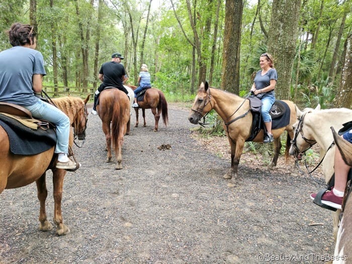 The Canyons Horseback Riding Ocala Beauty and the Beets (4)