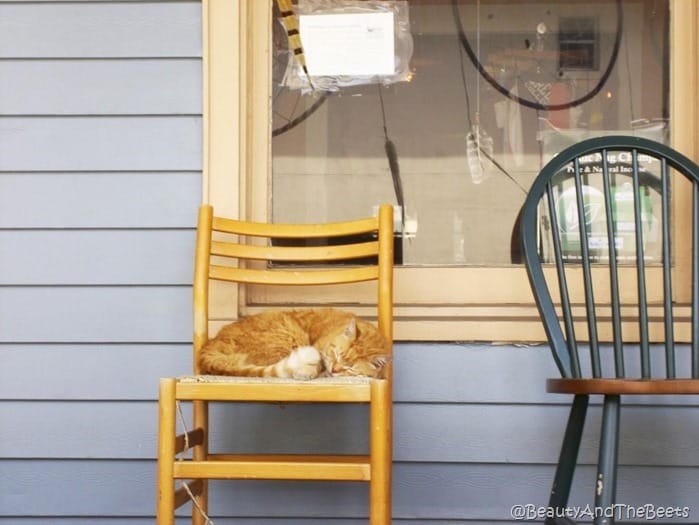 a cat sleeping on a porch on a chair against a blue house