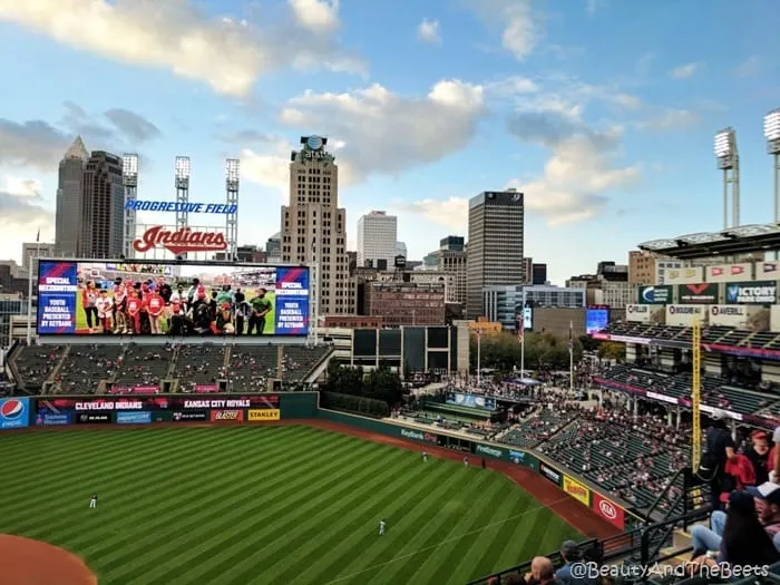 Cleveland Skyline Progressive Field Beauty and the Beets