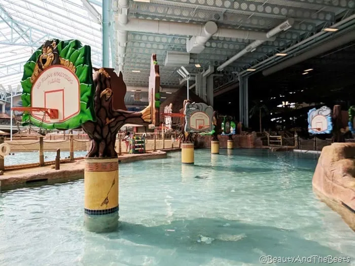 basketball waterpark Kalahari Resort Sandusky Beauty and the Beets