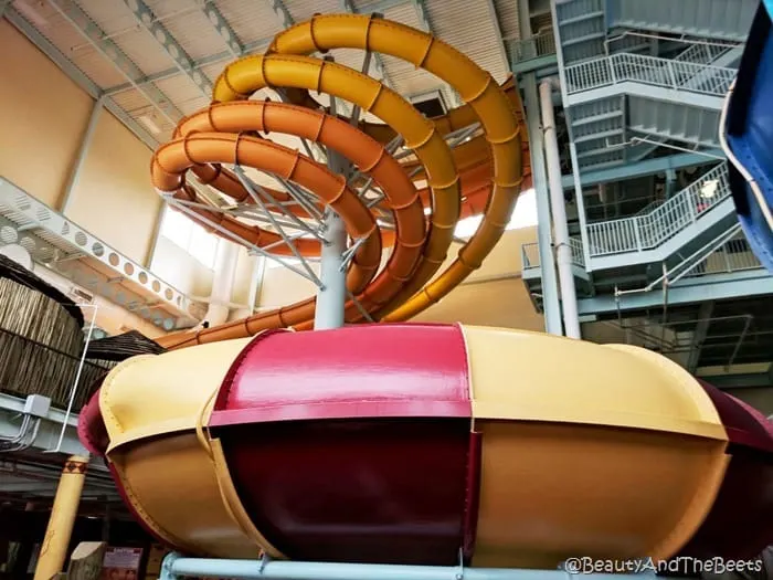 indoor water slides Kalahari Resort Sandusky Beauty and the Beets