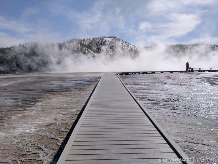 Grand Prism Springs Yellowstone Beauty and the Beets