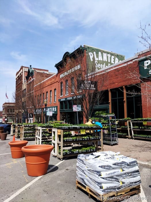 Planters Seed and Feed Kansas City Beauty and the Beets