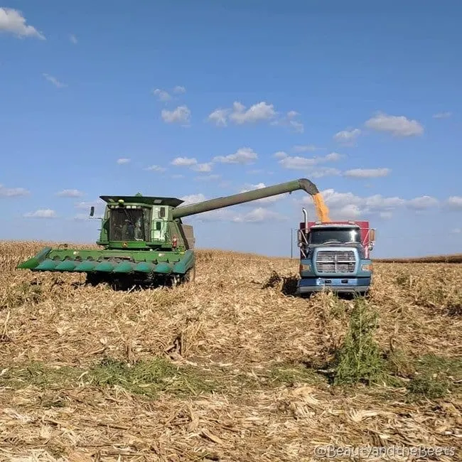 #FarmFoodTour Kansas Beauty and the Beets Combine Harvester