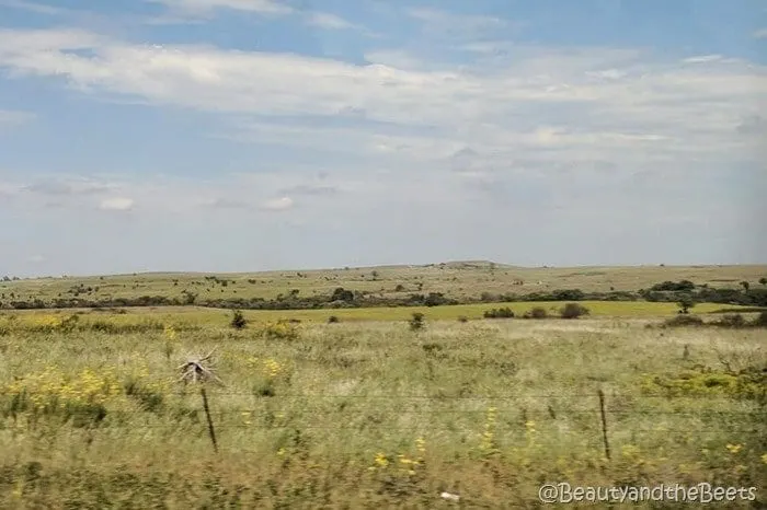 #FarmFoodTour Kansas Beauty and the Beets Flint Hills