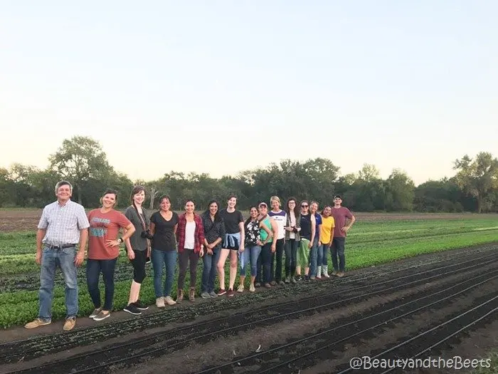 #FarmFoodTour Kansas Beauty and the Beets arugula field