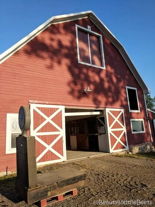 #FarmFoodTour Kansas Beauty and the Beets red barn